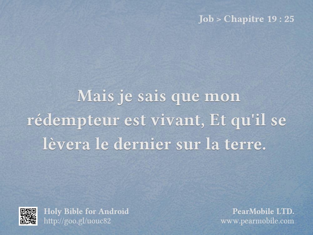 Job, Chapitre 19:25